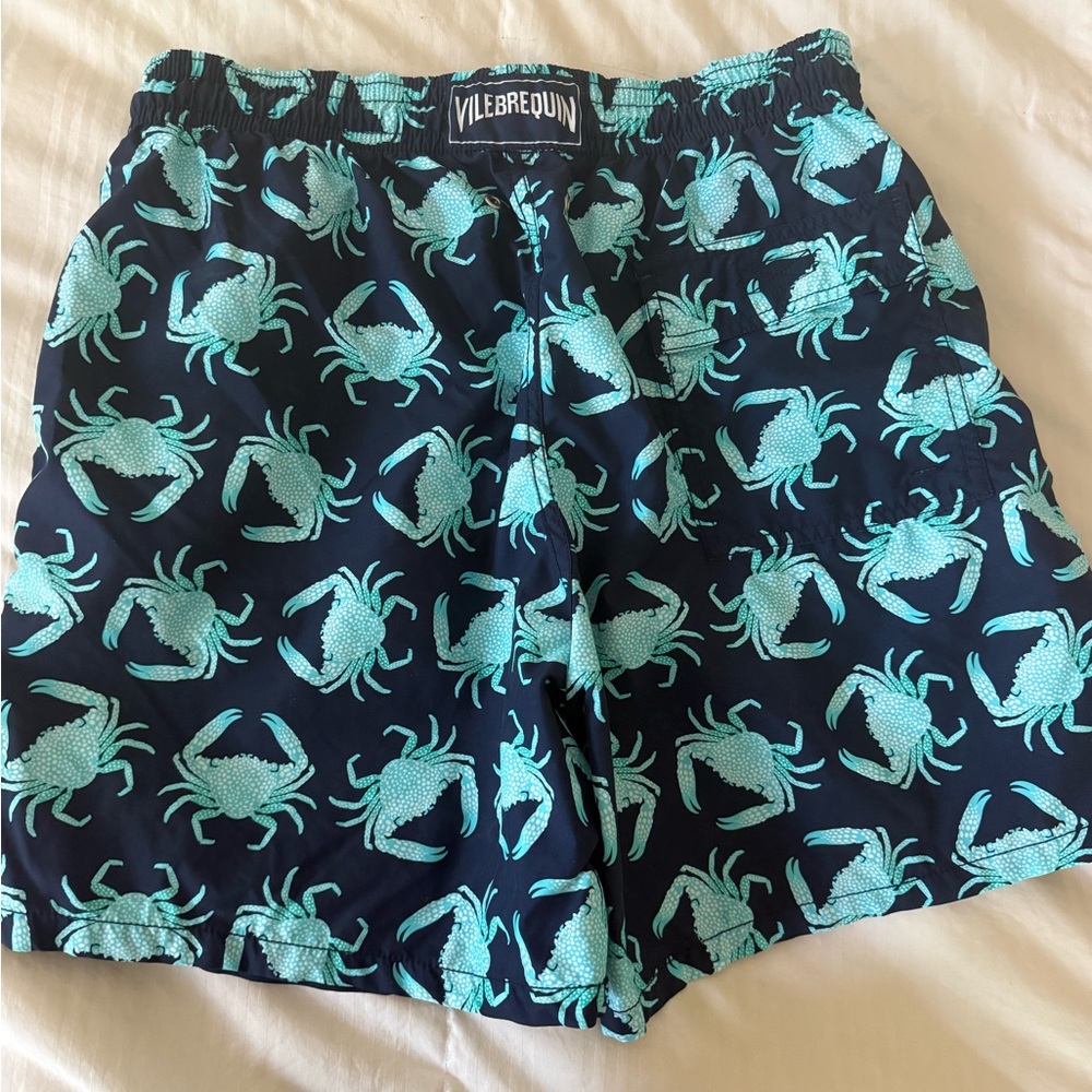 Vilebrequin Aqua and Black Swim Trunks - worn ONCE!